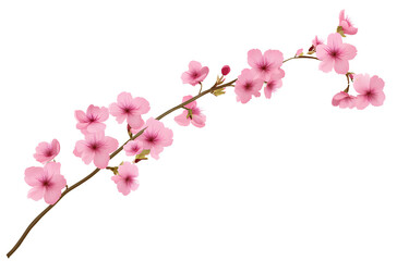Fototapeta premium A long branch of purple wildflowers, with a transparent background