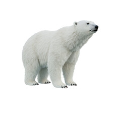 Fototapeta premium Majestic Polar Bear Standing on Transparent Background Isolated 3D Render