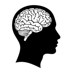 Human Head Silhouette with Detailed Brain Anatomy Illustration
