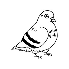 simple line art of a dove