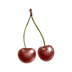 A couple of fresh ripe cherries on a fruit branch, glossy red juicy berries in watercolor hand drawn isolated illustration as a topping for juice, jam, ice cream,food label