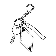 carabiner keychain with key and blank tag