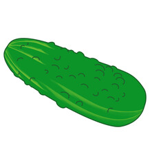 Single Green Pickle Isolated on White Background