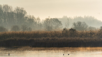 Chlodny poranek nad Stawami Dojlidzkimi, Podlasie, Polska © podlaski49