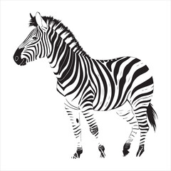 Zebra Vector 