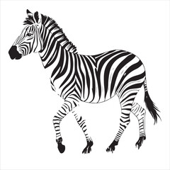Zebra Vector 