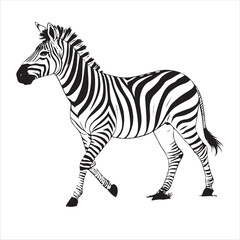 Zebra Vector 
