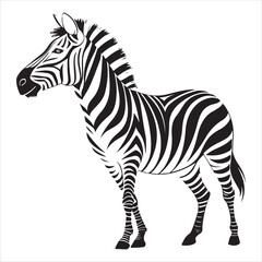 Zebra Vector 