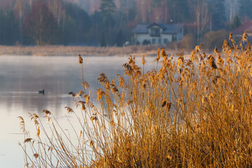 Chlodny poranek nad Stawami Dojlidzkimi, Podlasie, Polska © podlaski49