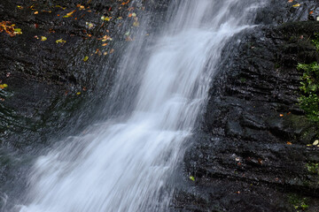 Laznyi Waterfall in Carpathian mountains, Ukraine. Stream with clear frothy water flowing down dark rocks. 