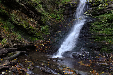 Laznyi Waterfall in Carpathian mountains, Ukraine. Large stream with clear frothy water flowing down moss-covered rocks. Beautiful autumn landscape, woodland, golden leaves on dark stones. 