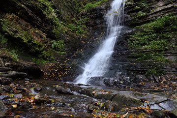 Laznyi Waterfall in Carpathian mountains, Ukraine. Large stream with clear frothy water flowing down moss-covered rocks. Beautiful autumn landscape, woodland, golden leaves on dark stones. 
