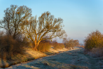 Chlodny poranek nad Stawami Dojlidzkimi, Podlasie, Polska © podlaski49