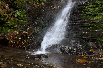 Laznyi Waterfall in Carpathian mountains, Ukraine. Stream with clear frothy water flowing down moss-covered rocks. Beautiful autumn landscape, woodland, golden leaves on dark stones. 