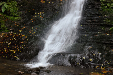Laznyi Waterfall in Carpathian mountains, Ukraine. Stream with clear frothy water flowing down moss-covered rocks. Beautiful autumn landscape, woodland, golden leaves on dark stones. 