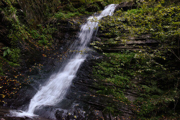 Laznyi Waterfall in Carpathian mountains, Ukraine. Large stream with clear frothy water flowing down moss-covered rocks. Beautiful autumn landscape, woodland, golden leaves on dark stones. 
