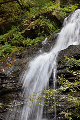 Laznyi Waterfall in Carpathian mountains, Ukraine. Large stream with clear frothy water flowing down moss-covered rocks. Beautiful autumn landscape, woodland, golden leaves on dark stones. 