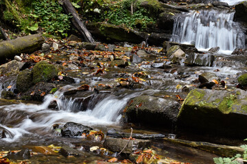 Laznyi Waterfall in Carpathian mountains, Ukraine. Stream with clear frothy water flowing among stepped rocks. Beautiful autumn landscape, woodland, colorful leaves on stones. 