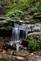 Laznyi Waterfall. Mountain stream with clear water. Autumn leaves, green mossy forest. Beautiful nature of Carpathians.