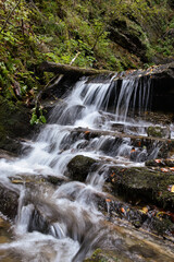 Laznyi Waterfall in Carpathian mountains, Ukraine. Stream with clear frothy water flowing among stepped rocks. Beautiful autumn landscape, woodland, colorful leaves on stones. 