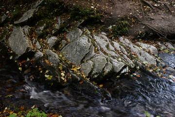 The source of Laznyi Waterfall. Mountain stream flowing along stepped rocks. Clear water, colorful fallen leaves on stones. Beautiful nature of Carpathians.