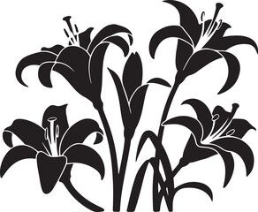 set vector various lily flowers silhouette