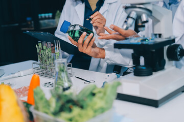 Hands, plant scientist and laboratory test tubes in plant growth research, climate change solution...