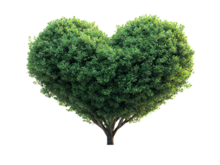 Heart-Shaped Tree with Lush Green Foliage