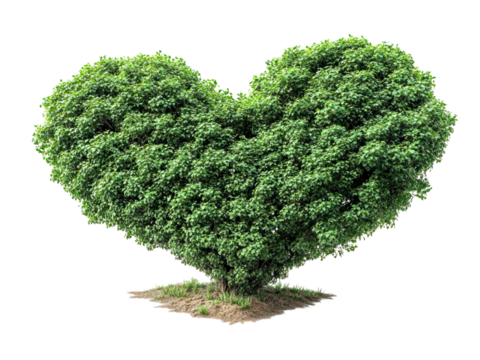 Heart-Shaped Tree with Lush Green Foliage
