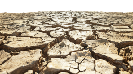 Arid Earth: Witness the stark beauty of cracked earth, a testament to nature's resilience and the powerful impact of drought.