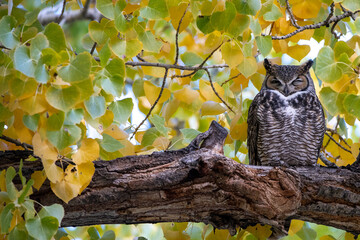 I’ve got my eye on you