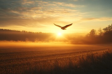 Obraz premium A bird soaring above a vast field at sunrise, with golden light illuminating the horizon and casting long shadows