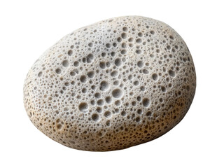 Oval-Shaped Pumice Stone with Porous Texture