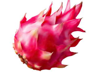 red dragon fruit