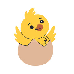 Chicken hatched from an egg and flapping its wings. Children's illustration. Easter cute character.