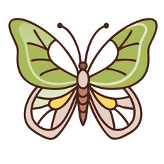 Butterfly vector 35