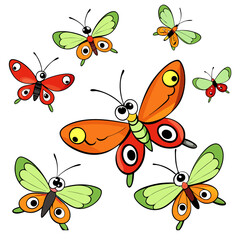 Butterfly vector 37