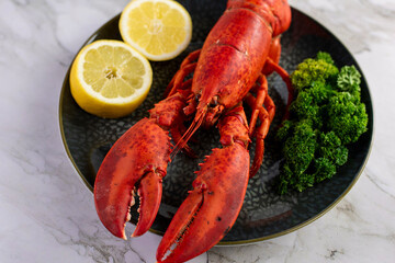 Close up of fresh steamed lobster with herbs