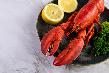 Close up of fresh steamed lobster with herbs