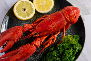 Close up of fresh steamed lobster with herbs