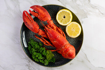 Close up of fresh steamed lobster with herbs