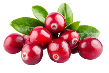 Obraz premium Cranberries with leaves isolated background