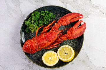 Close up of fresh steamed lobster with herbs