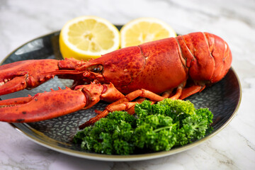 Close up of fresh steamed lobster with herbs