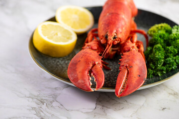 Close up of fresh steamed lobster with herbs