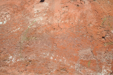 This is a beautifully textured wall showcasing intricate natural patterns and exquisite details
