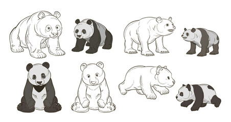 Obraz premium Animals. Black and white panda drawing. Coloring book for children. Vector image background, design.