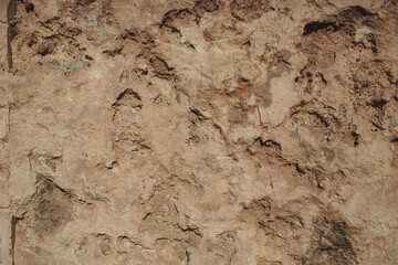 This is a beautifully textured wall showcasing intricate natural patterns and exquisite details