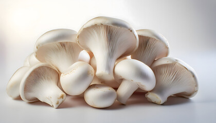 Fototapeta premium resh White Button Mushrooms on White Background