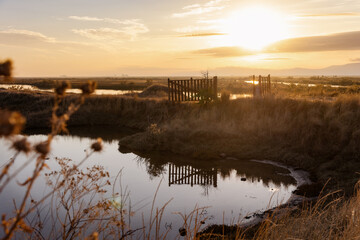 Beautiful sunset or sunrise on the wetland National Park Delta Evros in Thrace Greece near to Feres and Alexandroupolis, near Greek Turkish borders, panoramic view